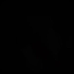 Meet your Posher, Alexa